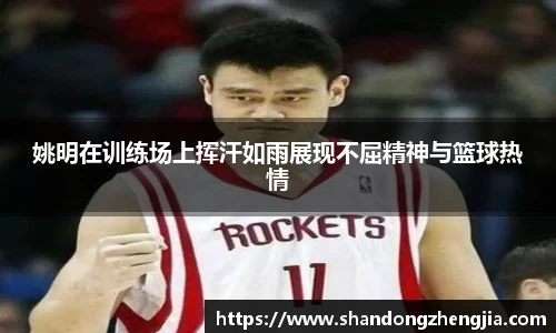 姚明在训练场上挥汗如雨展现不屈精神与篮球热情