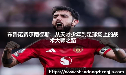 乐竞体育网址